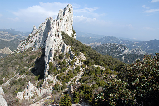 Lire la suite à propos de l’article Vaucluse Provence : quelques randonnees a effectuer dans les Dentelles de Montmirail